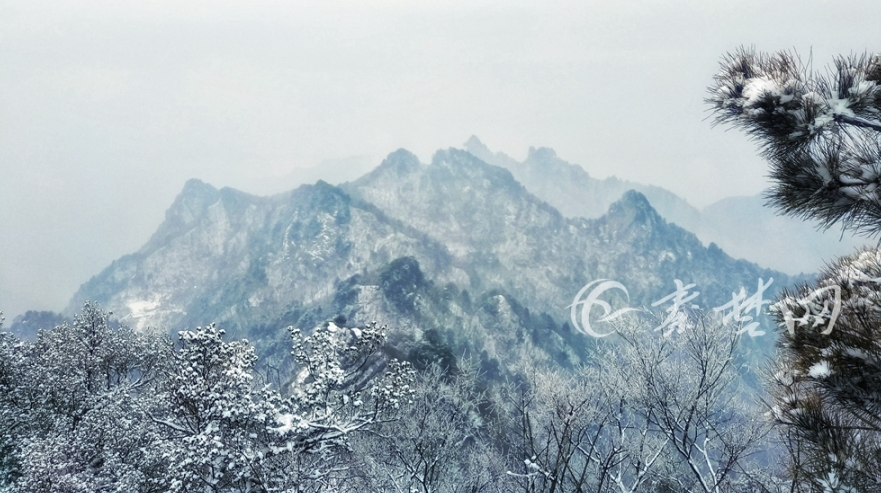 十堰下雪了！武當山仙氣十足（組圖）